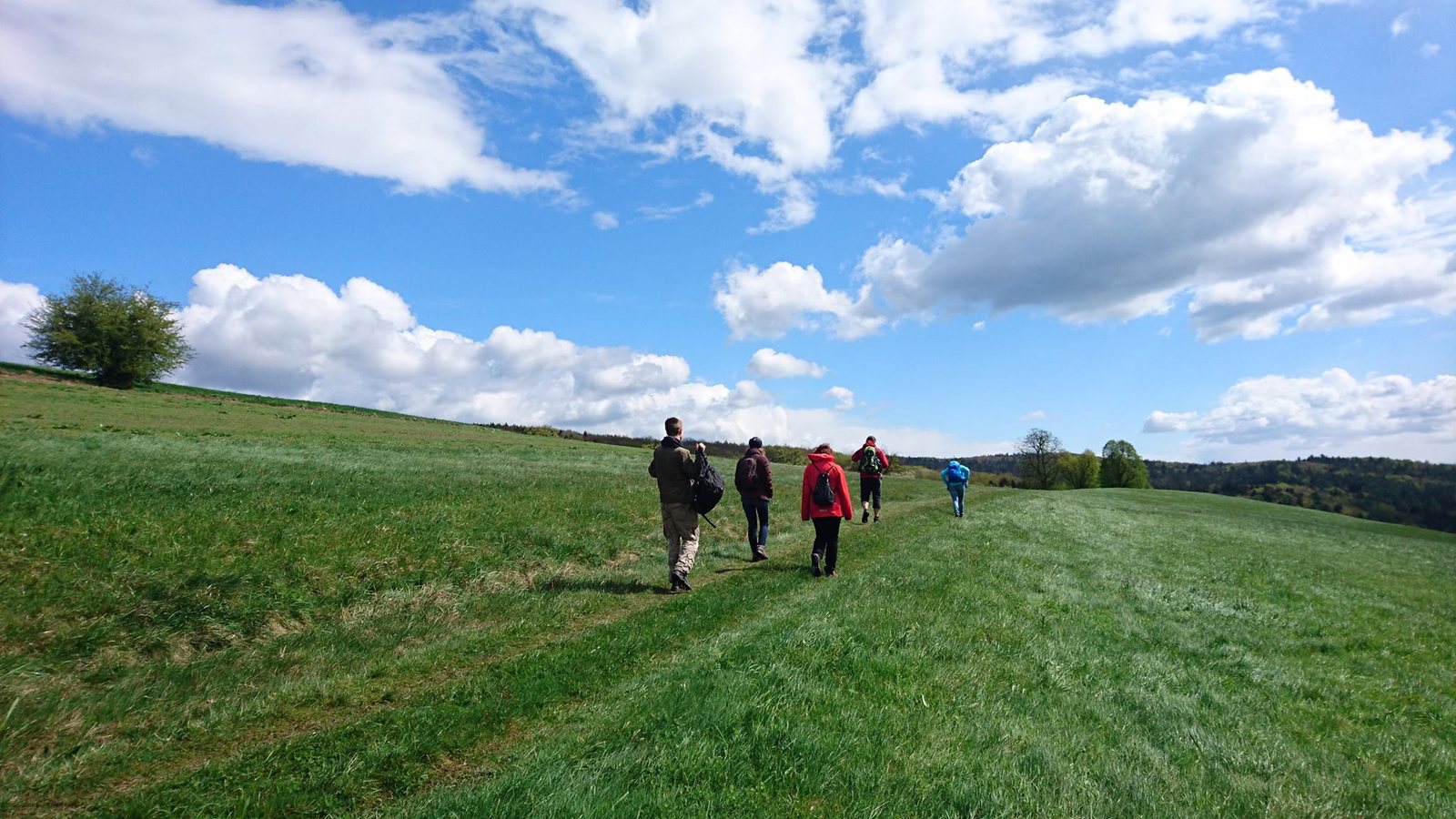 Eine kleine Gruppe geht schweigend hintereinander über eine weite Wiese im Wienerwald, darüber ein großer Himmel mit Wolken.